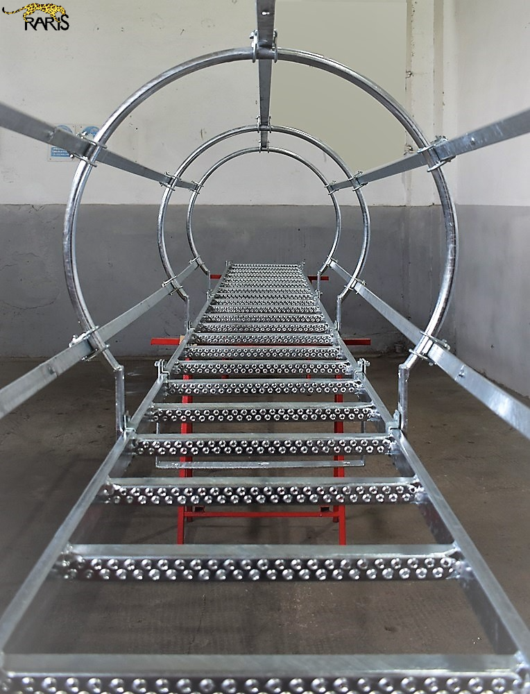 Scara pisica inox asamb 4.png